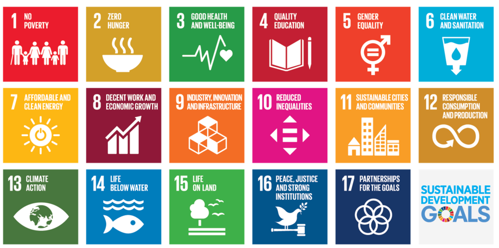 SDGs transparent large.png