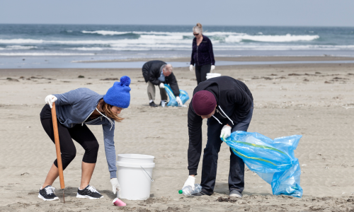 Image of please cleaning up the beach