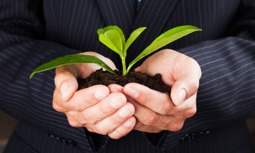 Man Holding Soil and Plant