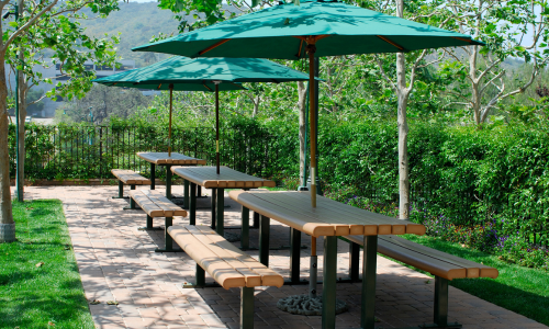 umbrellas providing shade 