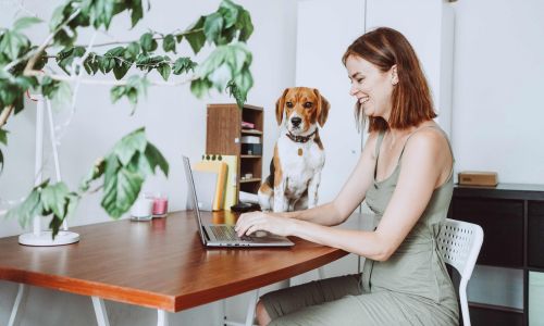 Woman Working from Home with Dog