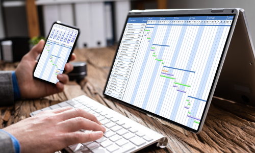 Gantt Chart And Time Sheet Scheduling Report